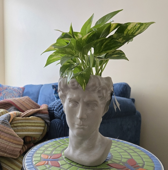 Welcome to my closet! - Picture 4 of 5